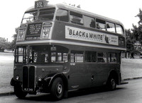 Route 83A, London Transport, RT532, HLX349