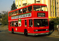 Route 134, London Transport, T956, A956SYE