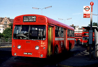Route 240, London Transport, SMS304, EGN304J, Golders Green