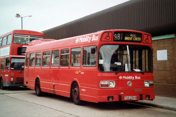 Route 981, London Transport, LS256, THX256S, Park Royal