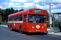 Route 273, London Transport, SMS320, EGN320J