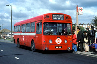 Route 273, London Transport, SM41, AML41H