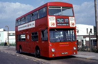 Route 273, London Transport, DMS767, TGX767M, Hayes