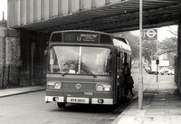 Route L1, London Transport, LS365, BYW365V, Brockley