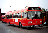 Route D5, East London Buses, LS7, KJD507P, Crossharbour