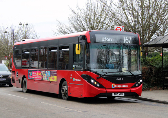 Route 167, Stagecoach London 36664, SN17MMK, Loughton