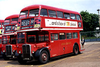 Route 292A, London Transport, RT3342, LYR561, Edgware