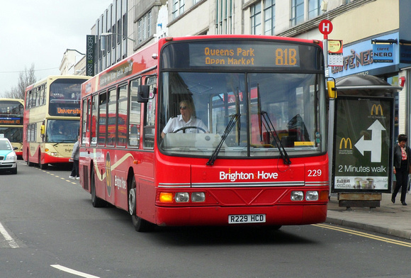 Route 81B, Brighton & Hove 229, R229HCD, Brighton