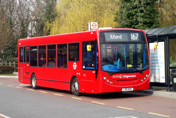 Route 167, Stagecoach London 36290, LX11AXH, Loughton