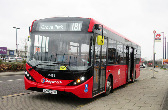 Route 181, Stagecoach London 36686, SN67XBO, Lower Sydenham
