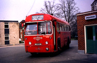 Route 250, London Transport, RF461, MXX438, Epping