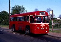Route 224, London Transport, RF418, MXX395