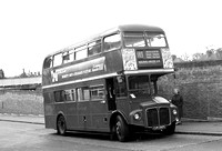 Route 183, London Transport, RM2202, CUV202C