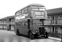 Route 217B, London Transport, RM4316, NLE980