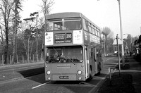 Route 293, London Transport, DMS832, TGX832M, Lower Morden