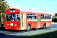 Route 222, London Transport, SMS555, EGN555J, Hounslow