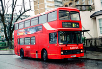 Route 24, Arriva London, L159GYL, Pimlico