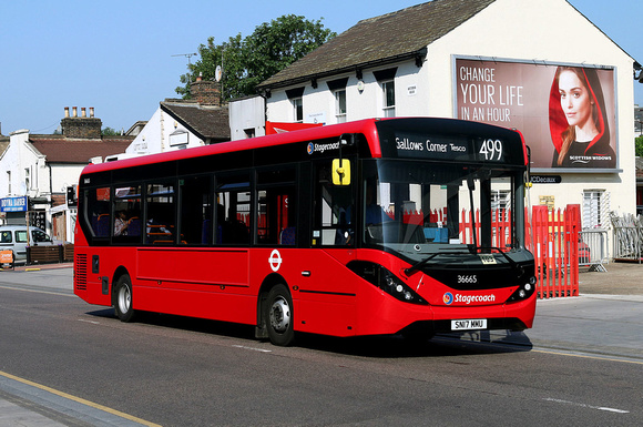 Route 499, Stagecoach London 36665, SN17MMU, Romford