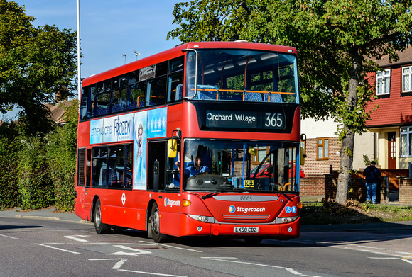 Route 365, Stagecoach London 15003, Collier Row