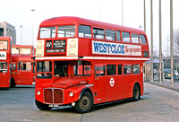Route 16A, London Transport, RML2501, JJD501D, Brent Cross