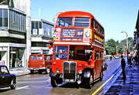 Route 164A, London Transport, RT786, JXC149, Sutton