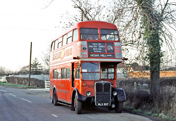 Route 174, London Transport, RT490, HLX307, Noak Hill