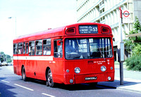 Route S3, London Transport, SMS556, EGN556J