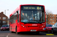 Route 184, Arriva London, ENL30, LJ09KPR, Arnos Grove
