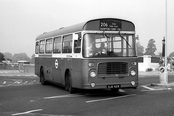 Route 206, London Transport, BL42, OJD42R, Hampton Court