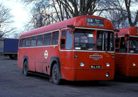 Route 218, London Transport, RF516, MLL934, Staines