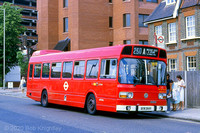 Route 250A, London Transport, LS364, BYW364V, Waltham Cross