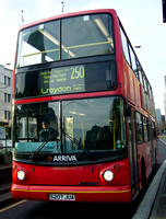 Route 250, Arriva London, DLA7, S207JUA, Croydon