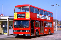 Route 255, London Transport, T313, KYV313X,