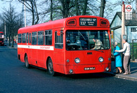 Route 227, London Transport, SMS193, EGN193J, Crystal Palace