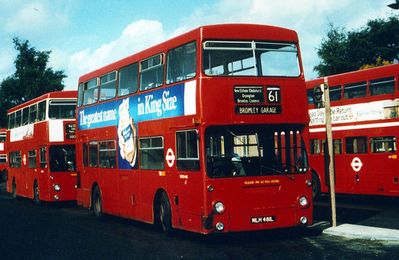 Route 61, London Transport, DMS1481, MLH481L, Eltham