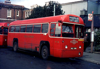 Route 210, London Transport, RF598, NLE598, Golders Green