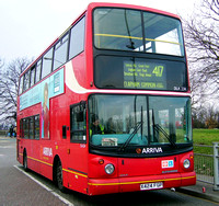 Route 417, Arriva London, DLA224, X424FGP, Crystal Palace