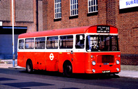 Route 215, London Transport, BL34, KJD434P