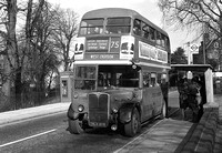 Route 75, London Transport, RT489, HLX306, Charlton