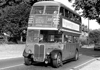 Route 205A: Epping Forest - Hammond Street [Withdrawn]