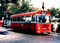 Route 146, London Transport, BL69, OJD69R, Downe