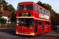 Route 248, Blue Triangle, M28, WYW28T