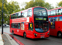 Route 73, Arriva London, DW436, LJ11ABO, Marble Arch