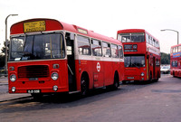 Route 215, London Transport, BL55, OJD55R, Hampton Court