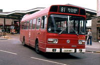 Route 81, London Transport, LS11, KJD511P, Hounslow