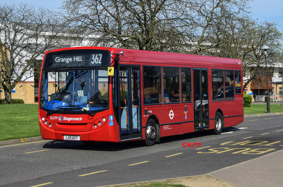 Route 362, Stagecoach London 36299, LX11AXT, King George Hospital