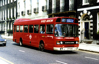 Route 503, Red Arrow, LS442, GUW442W, Bloomsbury St