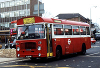 Route 215, London Transport, BL91, OJD91R, Kingston